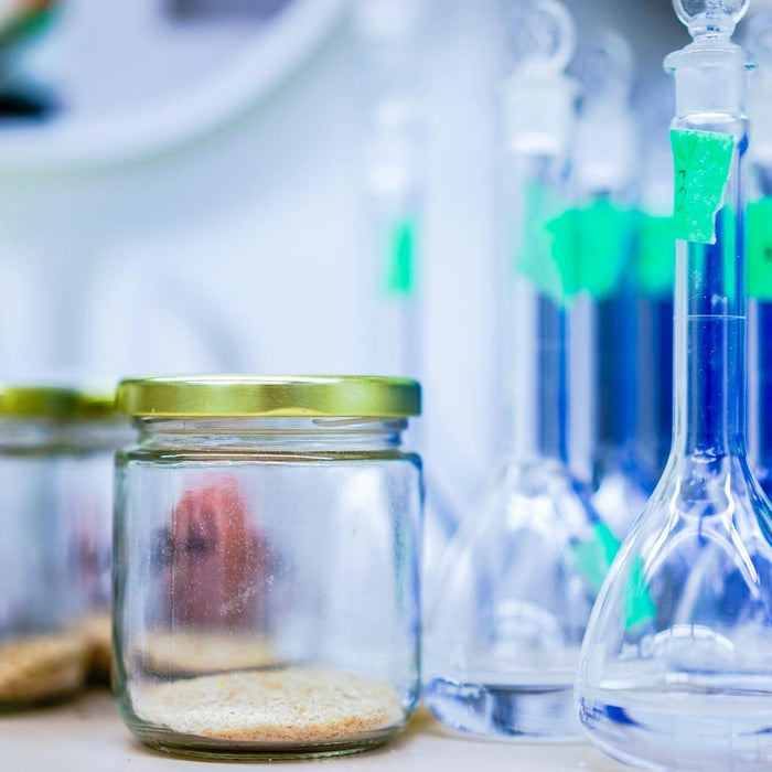 Warum knusprige Speisen uns glücklich machen: Ein Blick in die Wissenschaft